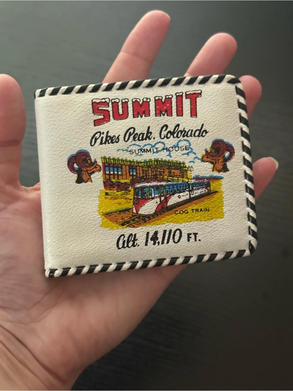 Vintage 1950s Pikes Peak Colorado Souvenir Wallet Hand Laced Vinyl Cog Train